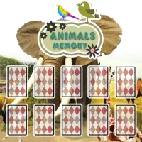 animais-cartões-memória